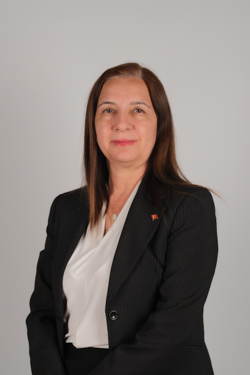 Naile Doğan